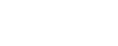Logo Netspa